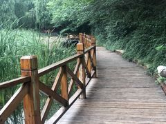 -云岗森林公园
