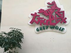 -大灰狼(中心书城店)
