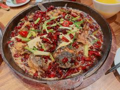 -老板恋上鱼(高新万达店)