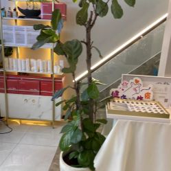 -阅年轻·AI家庭健康体质调理