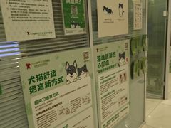 -悦宠凯宝动物医院·牙科·皮肤科(朝阳北路店)