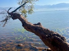 -西昌邛海湿地