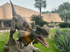 -自贡恐龙博物馆