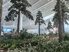 -青岛胶东国际机场