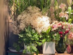 -春暖花开(西溪店)