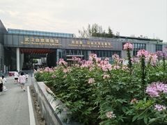 -武汉园博园(武汉自然博物馆)