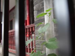 -北京师范大学附属中学