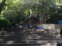 -上海佘山国家森林公园西佘山园