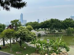 -古琴台