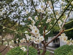 -莘庄公园