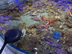 -澜悦港海鲜体验主题餐厅