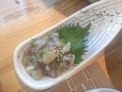 -酒井酱子·深夜食堂(东城汇店)