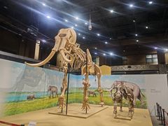 -国家自然博物馆