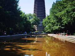 -玲珑塔公园