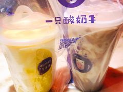 芒来芒去酸奶多-一只酸奶牛(八一路店)