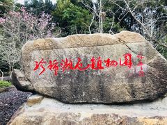 -广州市流溪河国家森林公园