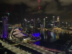 -新加坡摩天观景轮