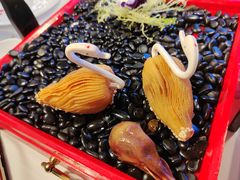 -山泉粤宴(广东大厦店)