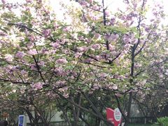 -西安市长乐公园