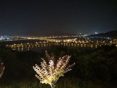 -羊山湖公园