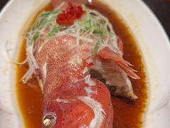 -龙景軒大酒店(共康店)