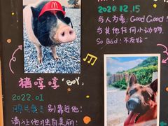 -小时光咖啡馆(开森度假森林店)