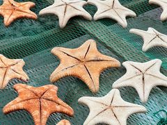 -花乐餐厅(涠洲岛店)