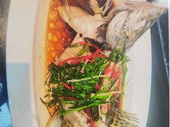 -院里寻菜·精致庭院菜(观沙岭店)