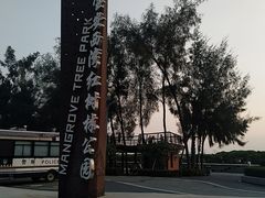 -宝安西湾红树林湿地公园