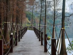 -重庆彩云湖湿地公园