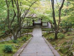 -常寂光寺