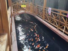 -侠成水上农庄(工业大道店)