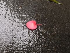 -黄沙水产交易市场