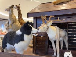 -IMON·HANSA潮玩玩偶毛绒玩具(通州万象汇店)