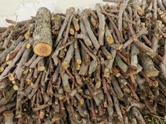 -莫内艺术岛海景咖啡