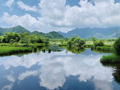 -大九湖