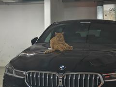 -HONGA HONGA雄家(曹路店)