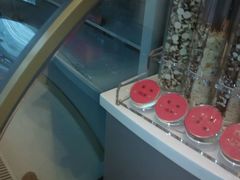 android_upload_pic-哈根达斯(皇城恒隆广场店)