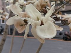 -锦什坊街叁拾伍号大厦