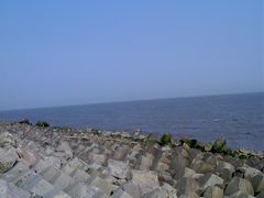 -碧海金沙