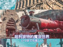 -哈利波特魔法世界