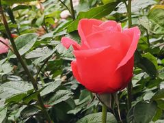 -人民公园(罗湖区)