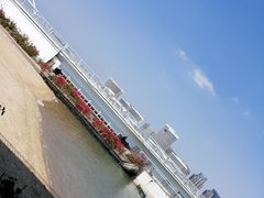 -五缘湾湿地公园