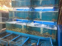 海鲜-老东镇啤酒屋海鲜加工·蒸汽海鲜·海鲜烧烤(台东店)