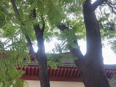 -宝鸡周原博物院