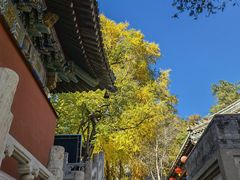 -潭柘寺景区