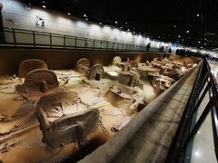 -洛阳周王城天子驾六博物馆