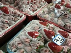 -菜园坝水果市场