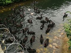 -长白岛森林公园