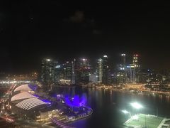 -新加坡摩天观景轮